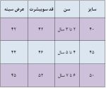 هودی اسپرت مدل رونیک - Image 3