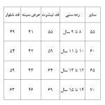 ست تی‌شرت و شلوارک پسرانه مدل Balenciaga - Image 3