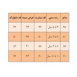 ست تی‌شرت و شلوارک دخترانه مدل پلنگی - Image 3