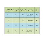 ست تی‌شرت و شلوارک دخترانه مدل ماریا - Image 4