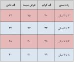 ست کراپ و دامن دانتل دخترانه مدل شکوفه در سه رنگ - Image 3
