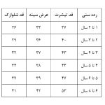 ست تی‌شرت و شلوارک دخترانه مدل flower - Image 3