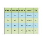 ست تی‌شرت و شلوارک پسرانه مدل TOMMY - Image 3