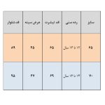 ست تیشرت و شلوار پسرانه مدل بالنسیاگا - Image 6